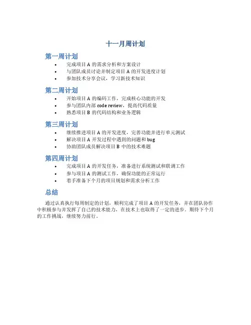 十一月周计划