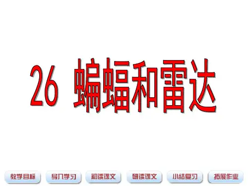蝙蝠和雷达课件(共16张PPT)