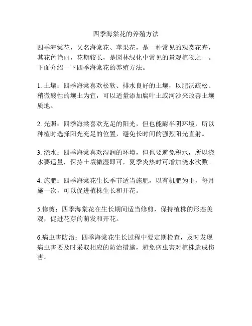 四季海棠花的养殖方法