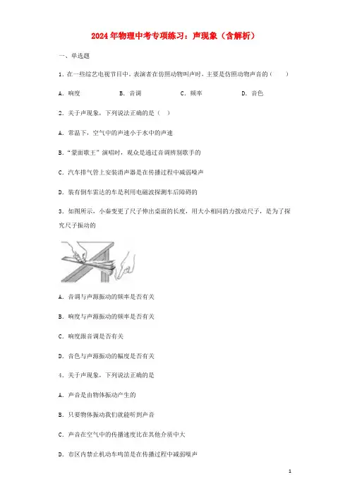 2024年中考物理专项练习选择题声现象含解析