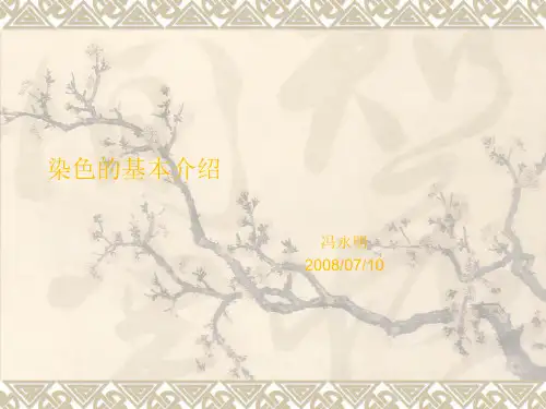 染色基础知识