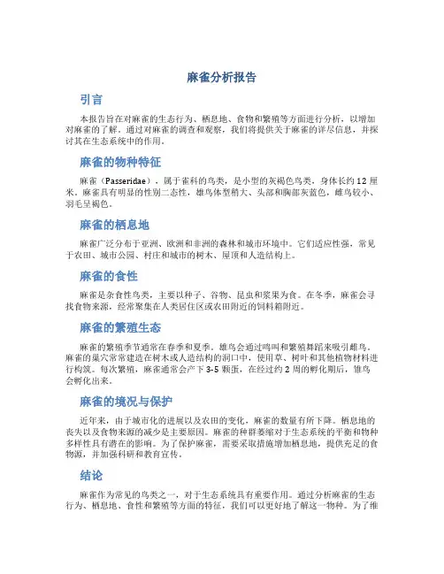 麻雀分析报告