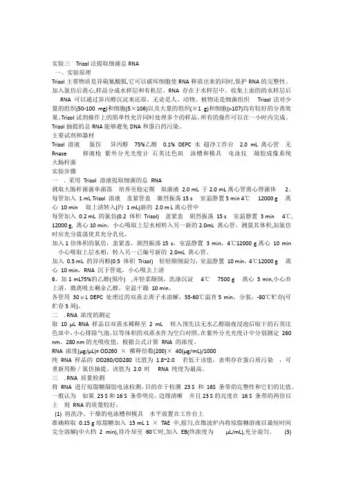 DNA与RNA提取方法