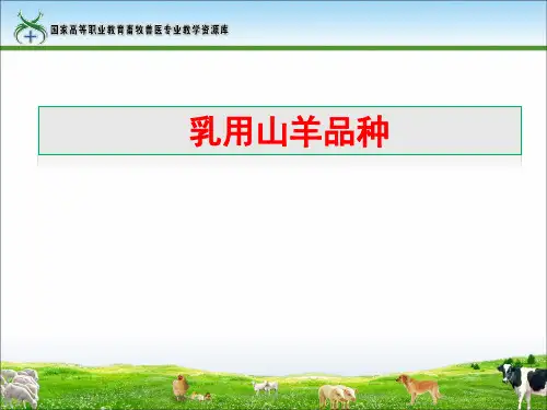 9-乳用山羊品种(田得红).