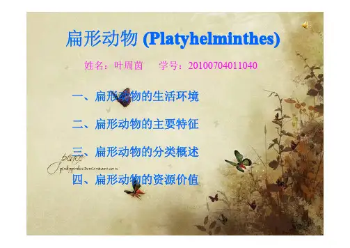 扁形动物