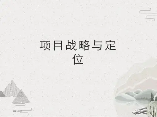 房地产前策报告教程