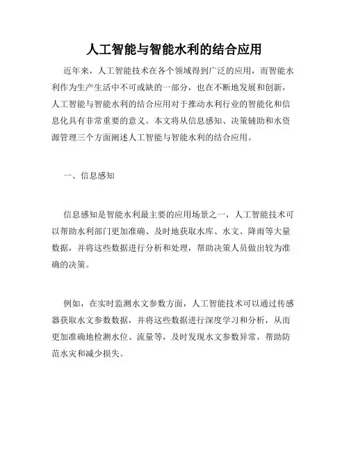 人工智能与智能水利的结合应用