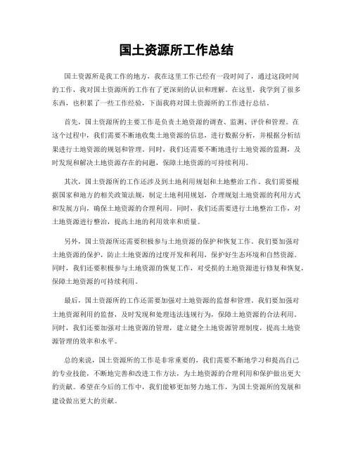 国土资源所工作总结