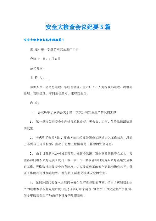 安全大检查会议纪要5篇