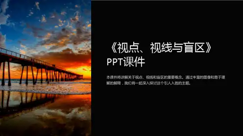 《视点、视线与盲区》课件