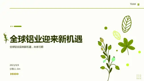 2023年全球铝业发展趋势模板