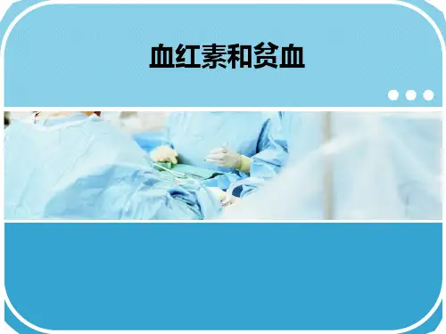 血红素和贫血ppt课件