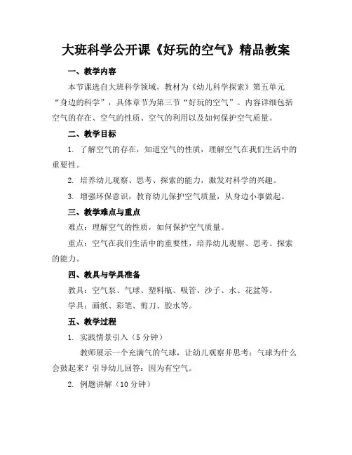 大班科学公开课《好玩的空气》精品教案