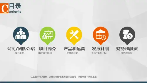 医美商业计划书ppt课件