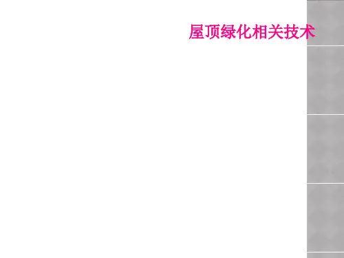 屋顶绿化相关技术