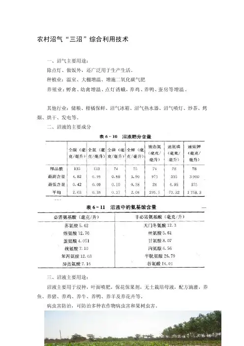 [方案]农村沼气“三沼”综合利用技术