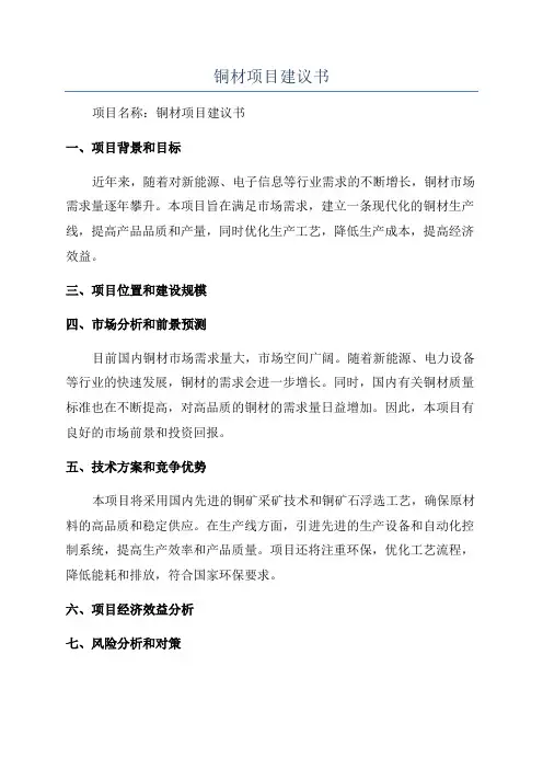 铜材项目建议书