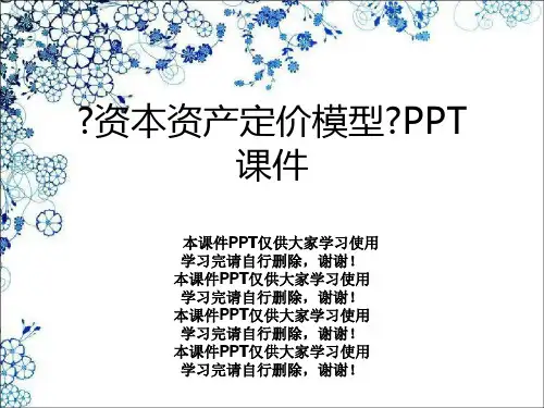 《资本资产定价模型》PPT课件
