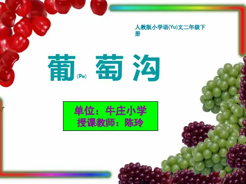 部编版语文二年级上册课件《葡萄沟》