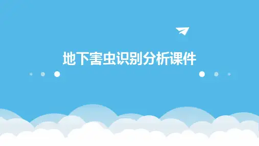 地下害虫识别分析课件