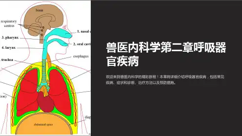兽医内科学第二章呼吸器官疾病
