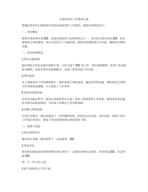 区政府项目工作情况汇报