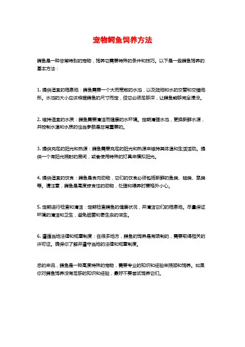 宠物鳄鱼饲养方法