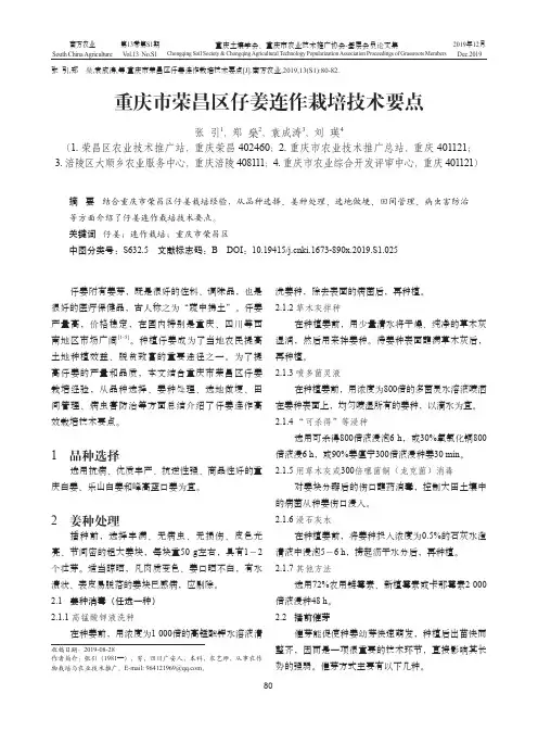 重庆市荣昌区仔姜连作栽培技术要点