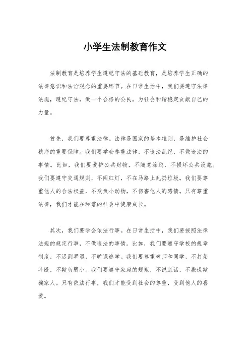 小学生法制教育作文