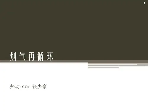 烟气再循环ppt课件