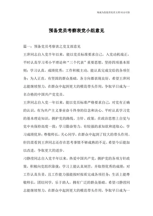 预备党员考察表党小组意见