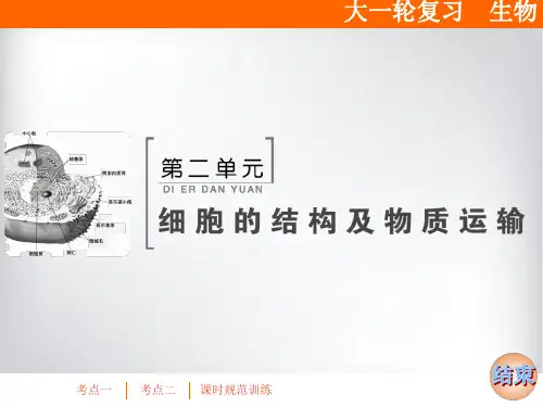 高三生物一轮复习课件 细胞膜(含流动镶嵌模型)与细胞核