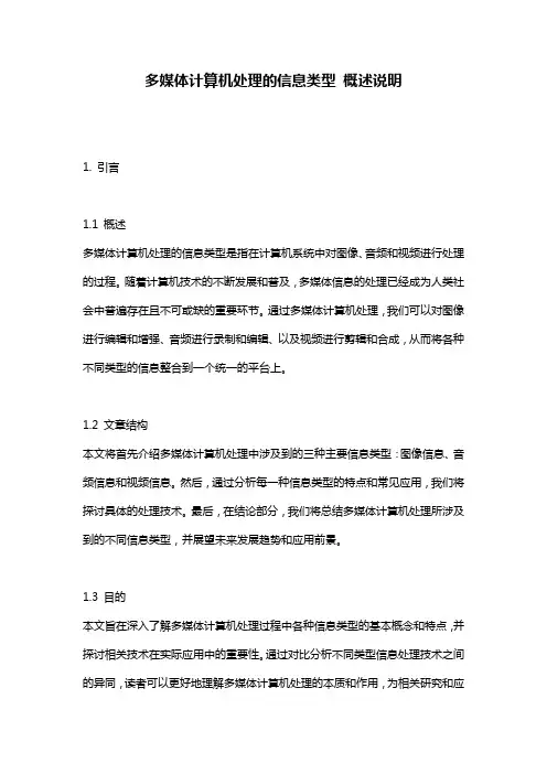 多媒体计算机处理的信息类型_概述说明