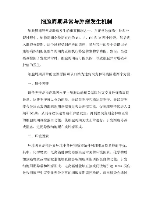 细胞周期异常与肿瘤发生机制