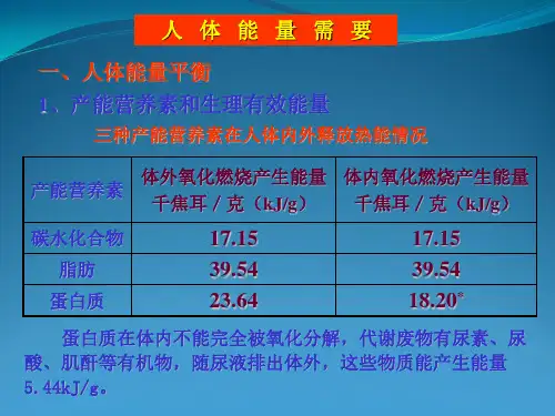 食品营养学人体能量需要