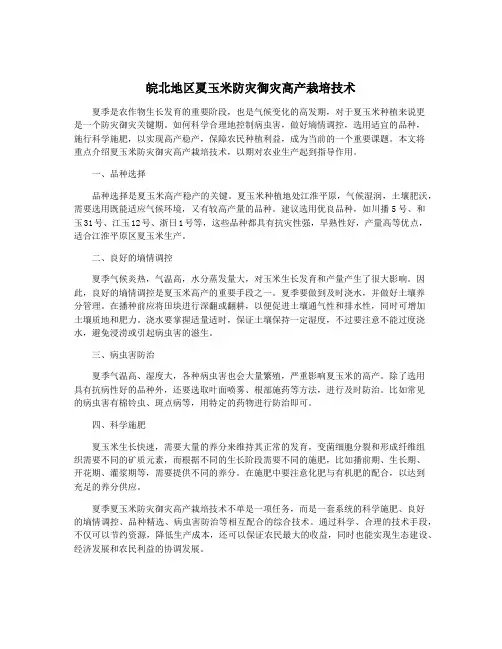 皖北地区夏玉米防灾御灾高产栽培技术