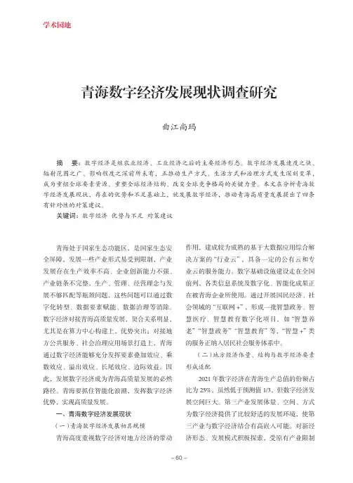 青海数字经济发展现状调查研究