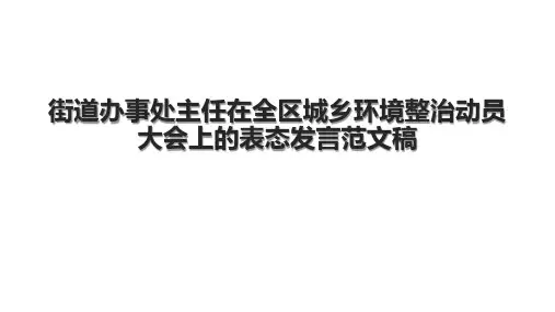 街道办事处主任在全区城乡环境整治动员大会上的表态发言范文稿