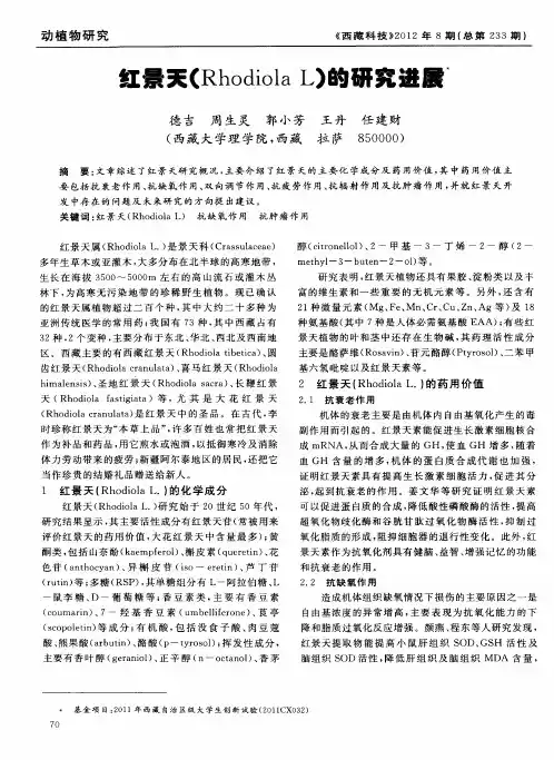 红景天(Rhodiola L)的研究进展