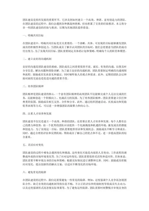 团队建设的经验与教训