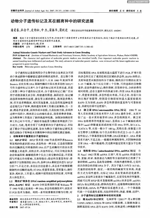 动物分子遗传标记及其在鹅育种中的研究进展