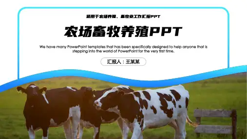 简约农场畜牧养殖行业工作PPT模板