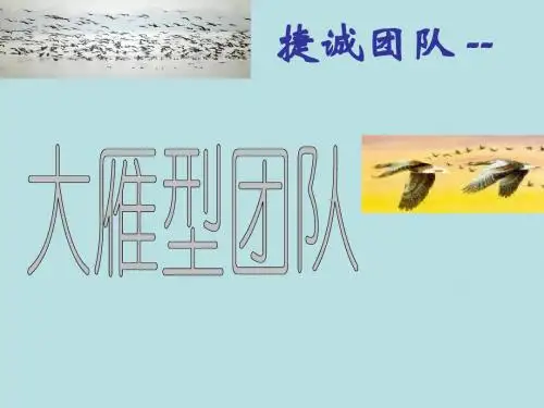 大雁型团队-捷诚团队