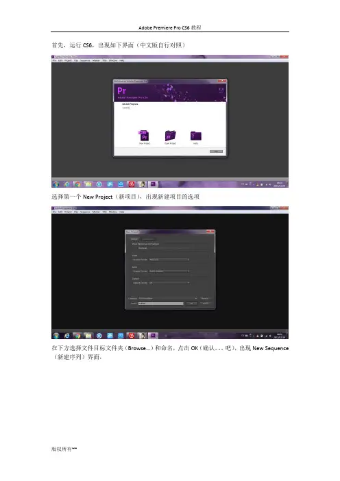 Adobe Primiere CS6教程