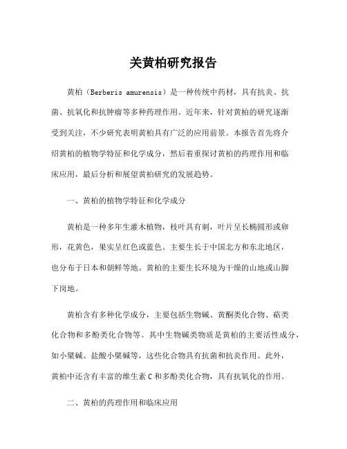 关黄柏研究报告
