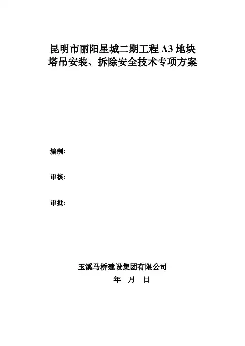 塔式起重机安装、拆除方案