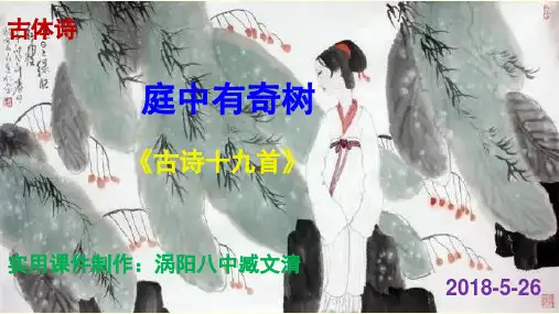 庭中有奇树 实用PPT