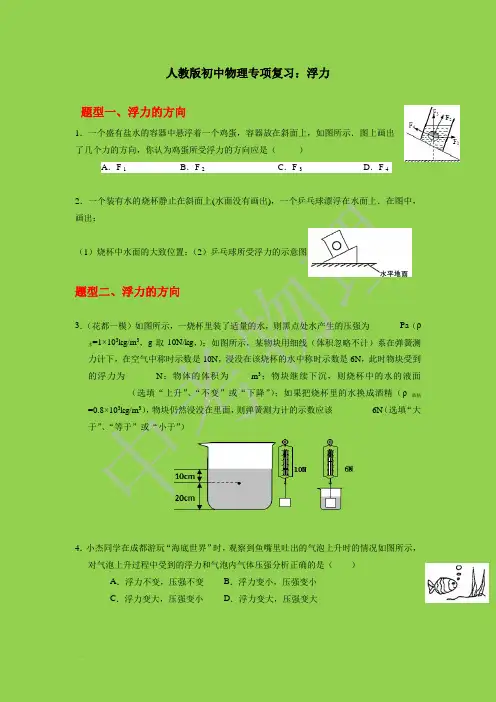 中考物理    专项复习       浮力