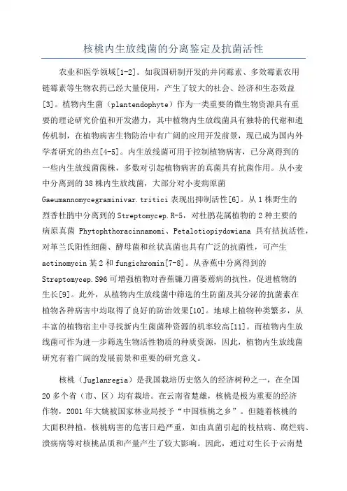 核桃内生放线菌的分离鉴定及抗菌活性