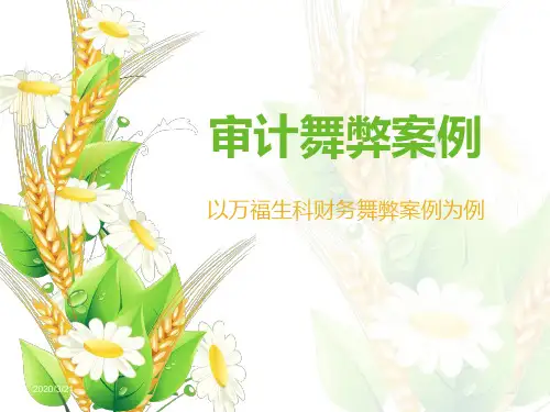 审计舞弊案例PPT课件